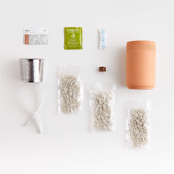Modern Sprout Other Modern Sprout Terracotta Grow Kit Healing Aloe